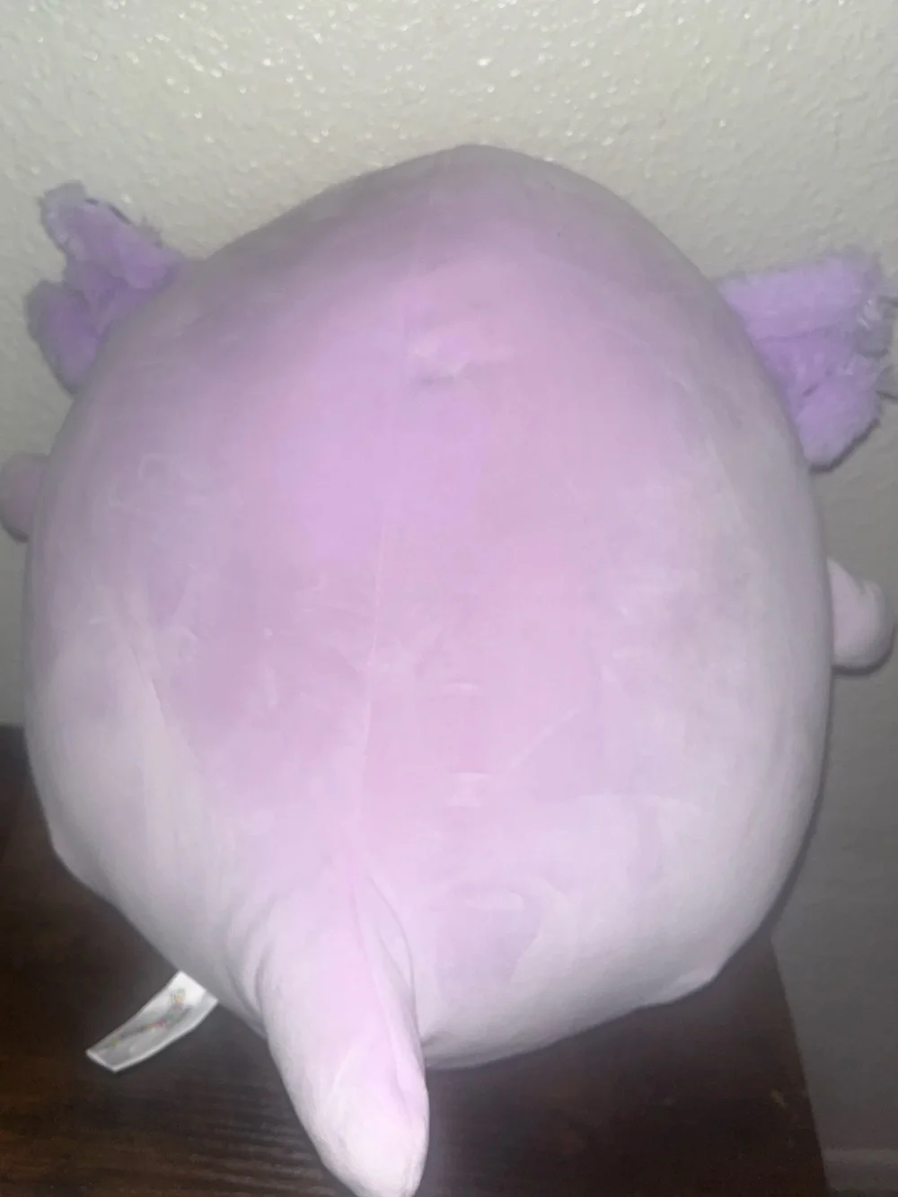 Squishmallows brand new